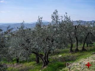Villa unifamiliare via Ornischi, Centro, Castelnuovo di Farfa — foto 47 di 63