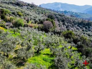 Villa unifamiliare via Ornischi, Centro, Castelnuovo di Farfa — foto 31 di 63