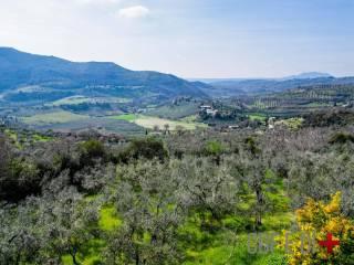 Villa unifamiliare via Ornischi, Centro, Castelnuovo di Farfa — foto 43 di 63