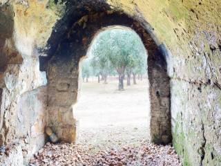 Rustico Contrada Don giulio, Francavilla Fontana — foto 16 di 29