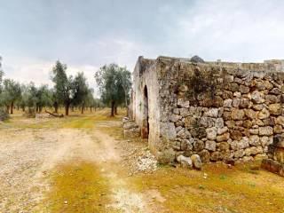 Rustico Contrada Don giulio, Francavilla Fontana — foto 22 di 29