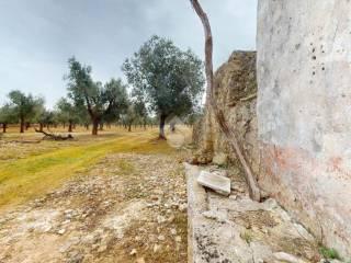 Rustico Contrada Don giulio, Francavilla Fontana — foto 19 di 29