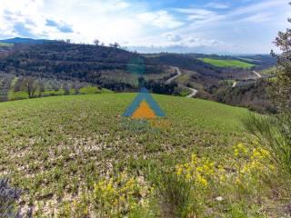 Villa unifamiliare Sp92, Montecchio — foto 3 di 27