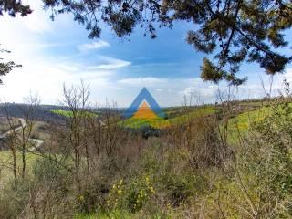 Villa unifamiliare Sp92, Montecchio — foto 24 di 27