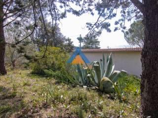 Villa unifamiliare Sp92, Montecchio — foto 27 di 27