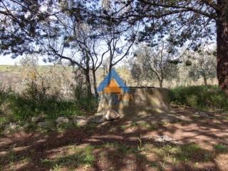 Villa unifamiliare Sp92, Montecchio — foto 12 di 27
