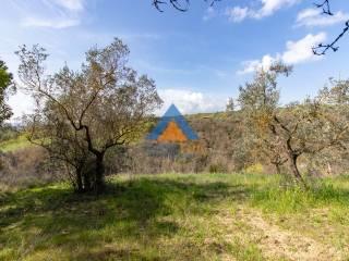 Villa unifamiliare Sp92, Montecchio — foto 2 di 27