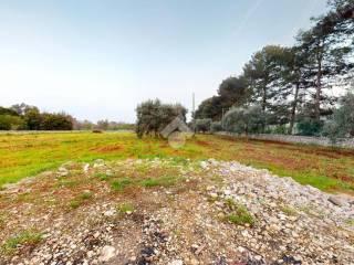 Villa unifamiliare Contrada Giannaricchiella 1, San Vito dei Normanni — foto 8 di 39