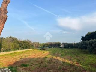 Villa unifamiliare Contrada Giannaricchiella 1, San Vito dei Normanni — foto 29 di 39