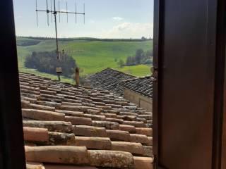 Trilocale Sp60, San Giovanni D'Asso, Montalcino — foto 2 di 17