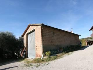 Casale 445 m², Centro, Sinalunga — foto 19 di 41