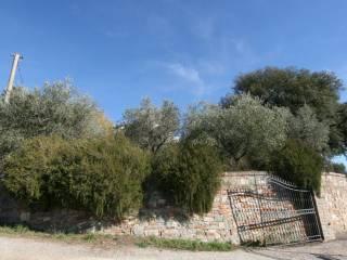 Casale 445 m², Centro, Sinalunga — foto 38 di 41