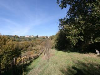 Casale 445 m², Centro, Sinalunga — foto 29 di 41