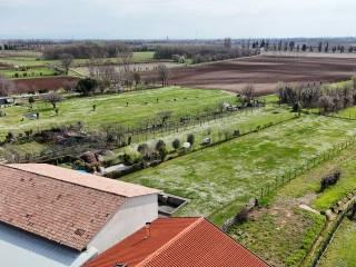 Casa colonica via dei Molini 26, San Lorenzo, Sedegliano — foto 28 di 36