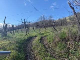 Terratetto unifamiliare Contrada Tignano, Apice