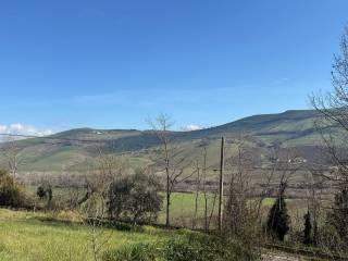 Terratetto unifamiliare Contrada Tignano, Apice — foto 13 di 14