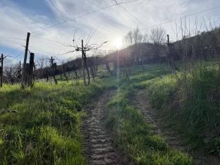 Terratetto unifamiliare Contrada Tignano, Apice — foto 11 di 14