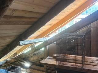 Appartamento via Piane, Pelos Di Cadore, Vigo di Cadore