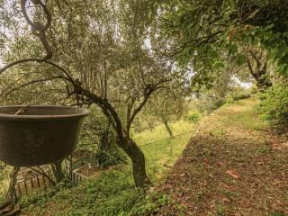 Villa a schiera via Dante Alighieri 21, Centro, Sori — foto 51 di 87