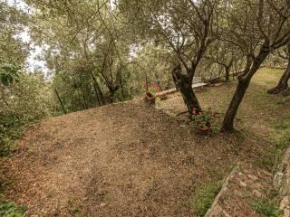 Villa a schiera via Dante Alighieri 21, Centro, Sori