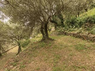 Villa a schiera via Dante Alighieri 21, Centro, Sori — foto 19 di 87