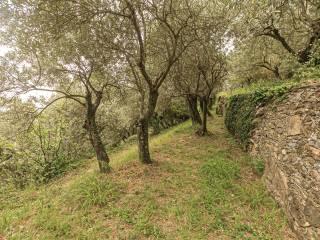Villa a schiera via Dante Alighieri 21, Centro, Sori — foto 50 di 87