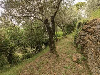 Villa a schiera via Dante Alighieri 21, Centro, Sori — foto 87 di 87