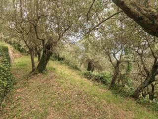 Villa a schiera via Dante Alighieri 21, Centro, Sori — foto 86 di 87