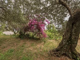 Villa a schiera via Dante Alighieri 21, Centro, Sori — foto 44 di 87