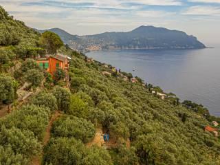 Villa a schiera via Dante Alighieri 21, Centro, Sori — foto 68 di 87