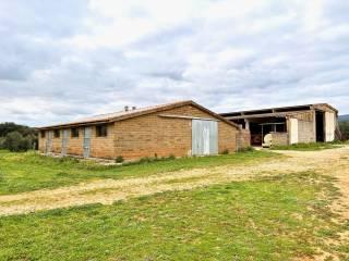 Casale Strada della Valle, Roselle - Nomadelfia, Grosseto — foto 4 di 17
