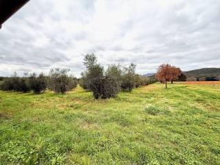 Casale Strada della Valle, Roselle - Nomadelfia, Grosseto — foto 3 di 17