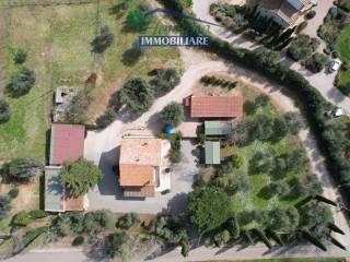 Casale Strada Poggio Pelato, Capalbio — foto 26 di 27