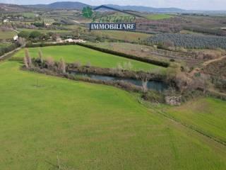 Casale Strada Poggio Pelato, Capalbio — foto 24 di 27