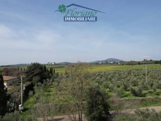 Casale Strada Poggio Pelato, Capalbio — foto 25 di 27
