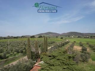Casale Strada Poggio Pelato, Capalbio — foto 13 di 27