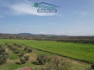 Casale Strada Poggio Pelato, Capalbio — foto 12 di 27