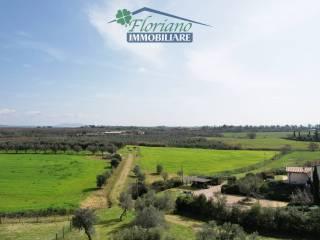 Casale Strada Poggio Pelato, Capalbio — foto 17 di 27
