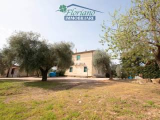 Casale Strada Poggio Pelato, Capalbio — foto 10 di 27