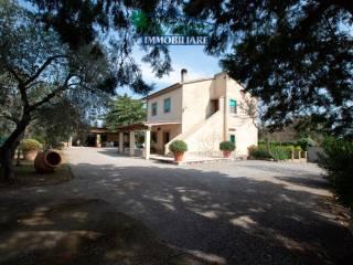 Casale Strada Poggio Pelato, Capalbio — foto 6 di 27