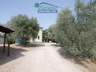 Casale Strada Poggio Pelato, Capalbio — foto 19 di 27