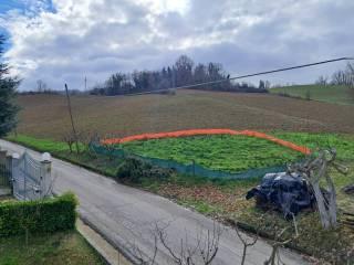 Villa unifamiliare contrada Osteria, Rotella — foto 11 di 46