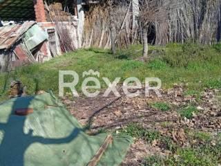 Casale regione Cavallera, Visone — foto 4 di 11