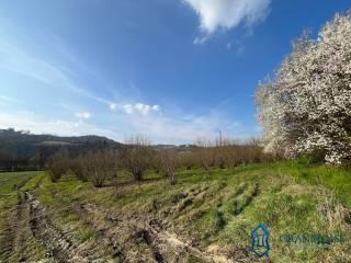 Cascina Cascina Mussano 1, Cerrina Monferrato — foto 38 di 43