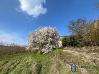 Cascina Cascina Mussano 1, Cerrina Monferrato — foto 19 di 43