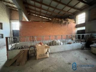 Cascina Cascina Mussano 1, Cerrina Monferrato — foto 34 di 43