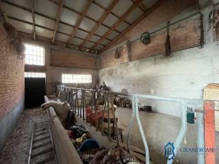 Cascina Cascina Mussano 1, Cerrina Monferrato — foto 18 di 43