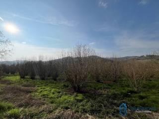 Cascina Cascina Mussano 1, Cerrina Monferrato — foto 9 di 43