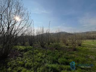 Cascina Cascina Mussano 1, Cerrina Monferrato — foto 37 di 43
