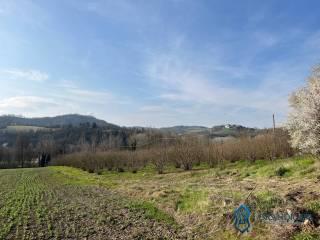 Cascina Cascina Mussano 1, Cerrina Monferrato — foto 21 di 43